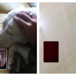 Reaction App