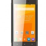 Karbonn Platinum P9