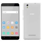 Gionee P5L